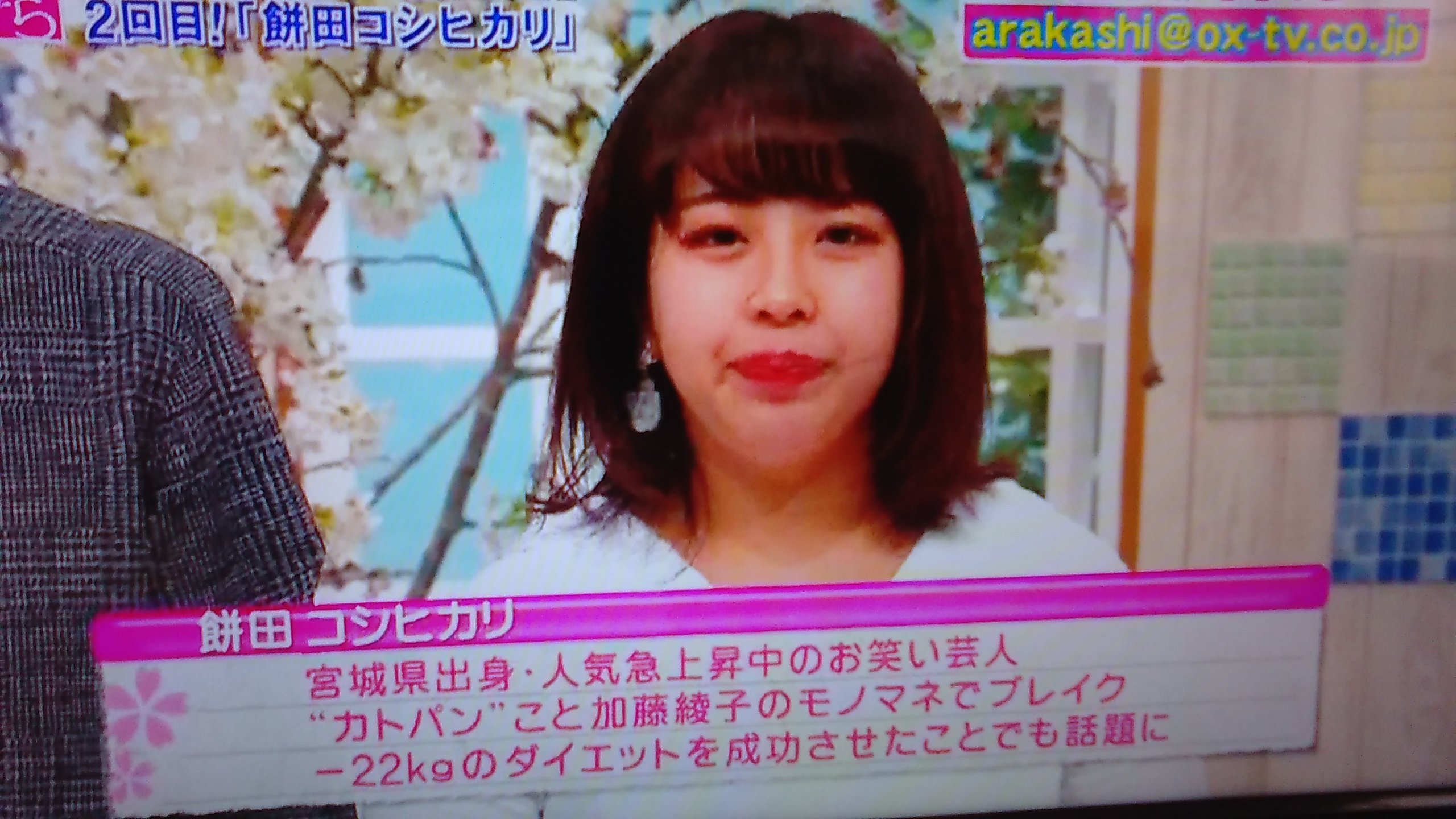 CRISIS DOLL'S,松岡充(SOPHIA),VHSビデオテープ CRISIS DOLL'S,松岡充(SOPHIA),VHSビデオテープ CRISIS DOLL'S