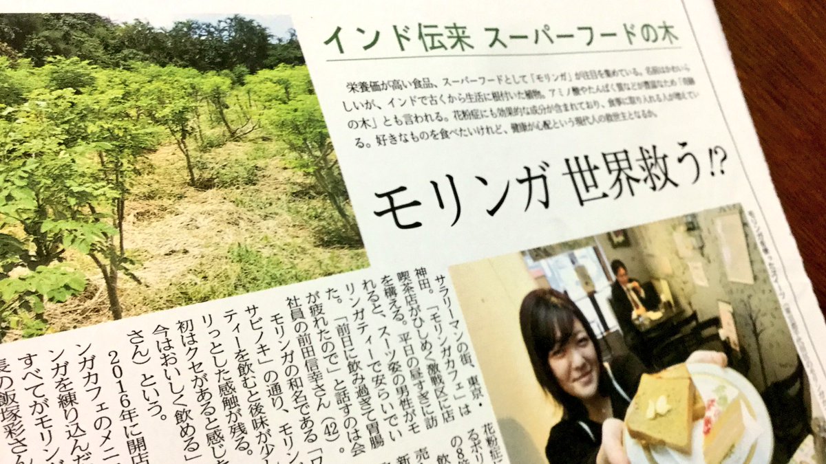 日経ｍｊ Twitterissa 次号 日曜のｍｊ 女性に人気のスーパーフード キヌア チアシードときて 今度はモリンガなんだそうです インド原産の植物は清涼感がある風味ながら アミノ酸やポリフェノールが豊富 お茶として楽しんだり 料理やデザートに入れ込む愛好