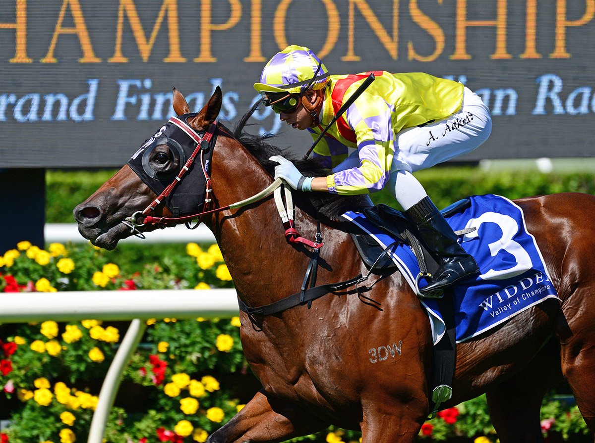mmsnippets's tweet photo. Paquirri, a Perth Yearling Sale buy for @garymooreracing from Dawson Stud, won today's @widdenstud Kindergarten Stakes @royalrandwick on Day One of the @ChampionshipsRR. Congratulations to all connections of the son of I Am Invincible.
#WABred #WASold
π· - @LisaGrimm9. https://t.co/IMT93jCSBk