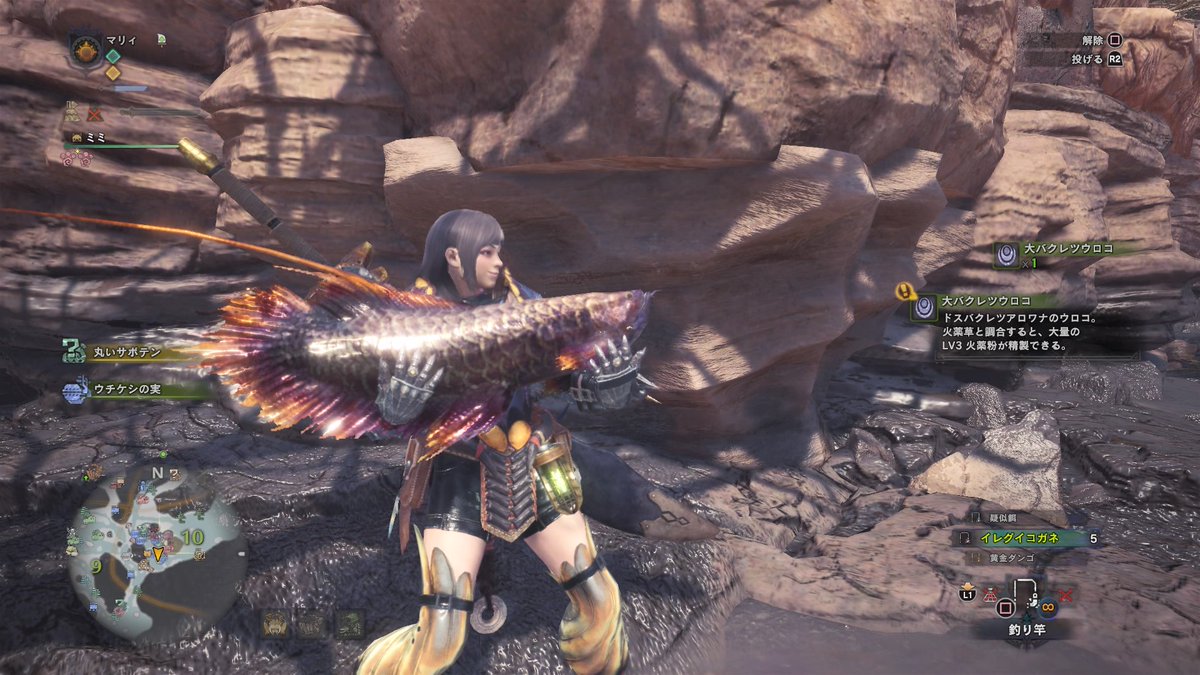 マリィ בטוויטר 釣り楽しいー 大物だーーー Mhw マリィのモンハン記録