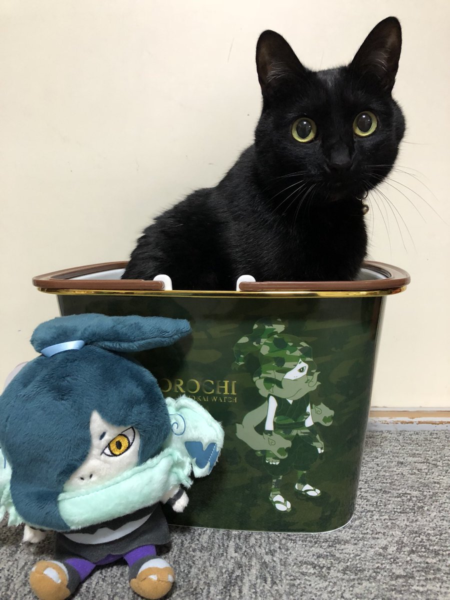 ねこたろ 妖怪ウォッチ オロチ ねぇねぇオロチも一緒にカゴ入って遊ぼうニャン オロチ わたしが こんなやつに遊びに誘われるなんてな おまえと遊ぼう 笑