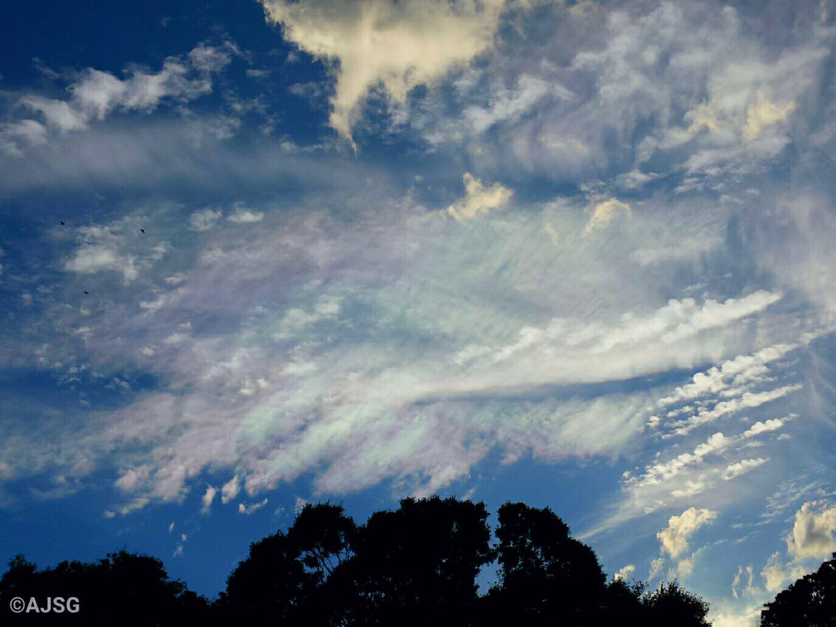 AJSG🙏🏾❤WxPhotoArtLady♉🎨 tweet media