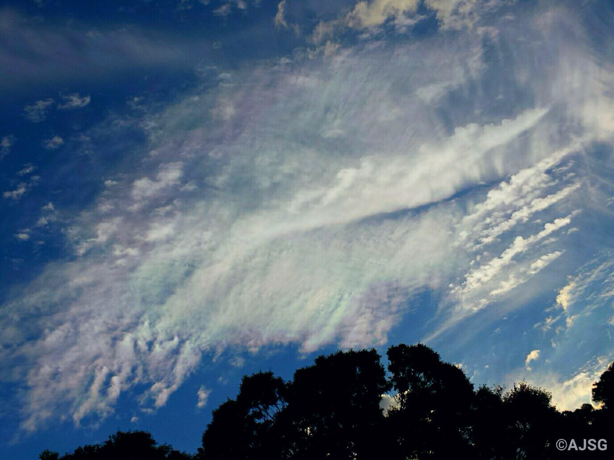 AJSG🙏🏾❤WxPhotoArtLady♉🎨 tweet media