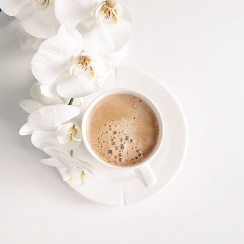 ^^цепочка^^
🌼ЧИТАЙ МЕНЯ
🌼Я ВЗАИМНАЯ 
🌼ДЕЛАЙ РТ
🌼ЧИТАЙ РЕТВИТНУВШИХ 
#ПуховойЛаковарФолловитБаулича #ФреяФолловитСияр #HelloOneDirection #ЦепочкаТвиттерских