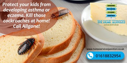 Protect your kids from developing asthma or eczema. Kill those cockroaches at home! 
#cockroachcontrol #cockroaches #roaches #pests #homeservicesjunction #pestcontrol 
homeservicesjunction.co.uk/service/pest-c…