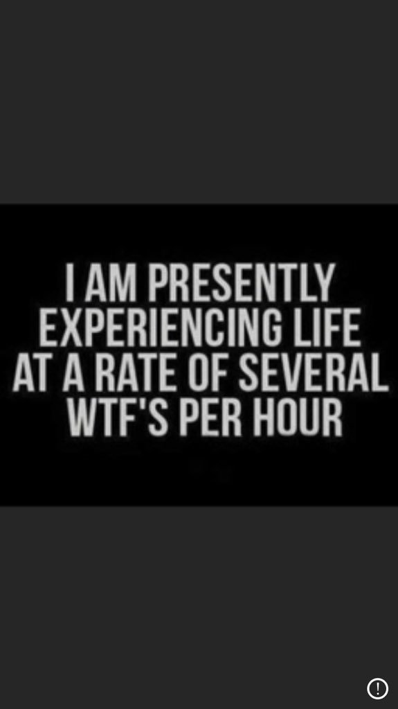 Mildyhilarious's tweet photo. @tedlieu @realDonaldTrump #Basiclly https://t.co/tEZGzOXhP4
