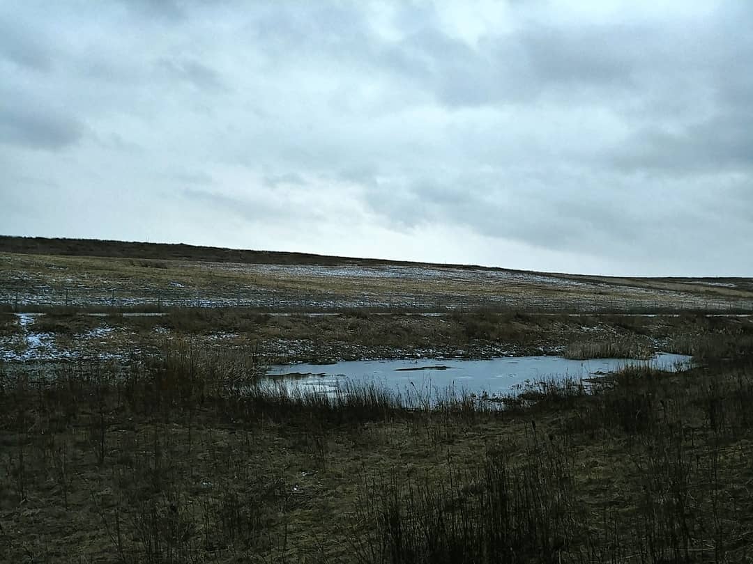 cstwrt's tweet photo. Refuse mound, treed ridge, squall...
#documentinglandscape https://t.co/linbZbojMr