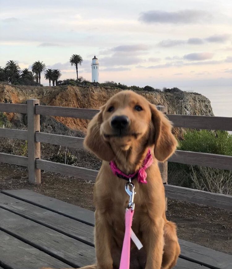 Northeast Party House tweet media