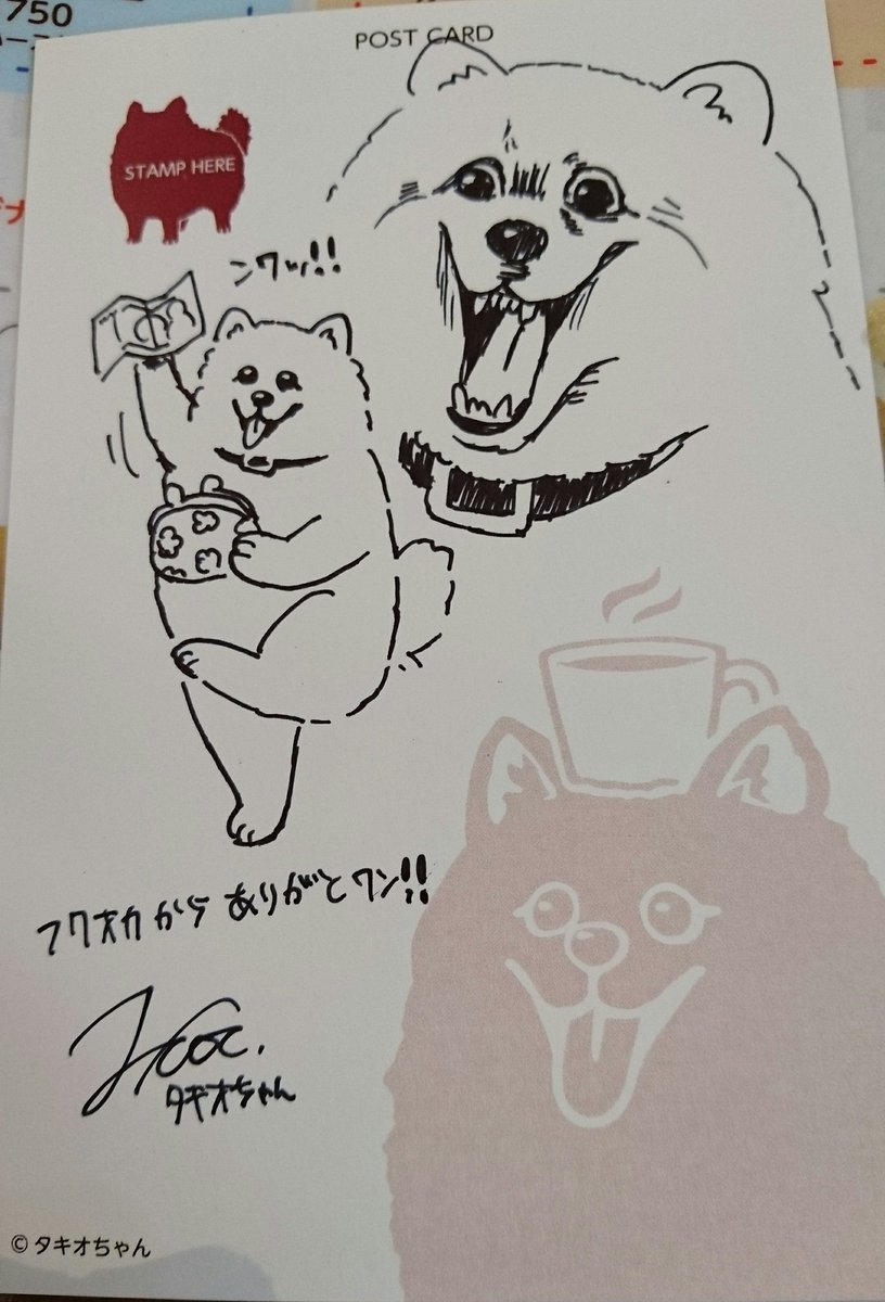 国産hohoniku定食 タキオちゃんさんにサインとコロちゃん描いてもらいました 母の分に2匹描いて頂いてタキオちゃんさん優しい 福岡から来て本当に良かったです ありがとうございます コロちゃんカフェ