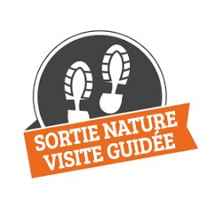 theviotmartial's tweet photo. 7/4 (14 h 30 Parking de la mairie de Le #Pout): #FORÊT SACRÉE. #Balade-#découverte sur des croyances et les #traditions liées aux arbres de la forêt sacrée. Tarif : 7 € à partir de 16 ans. Réservation: Marie Catherine #Sudret #Guide du #Patrimoine : téléphone 06.80.81.56.63 https://t.co/O7EbB0XPXo