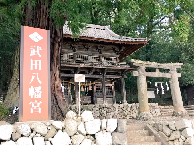 武田八幡宮✨ 