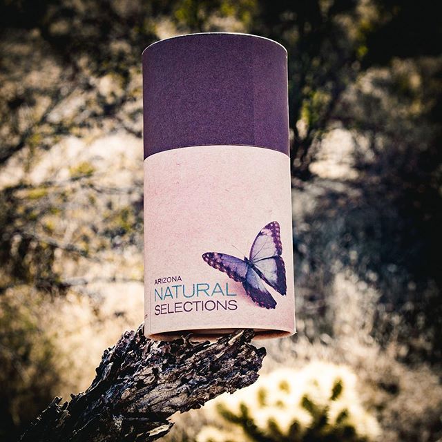 aznaturalselect's tweet photo. Bring your AZNS tube every time you shop to earn 5 loyalty points!⠀
⠀
@azns_treez #AZNaturalSelections⠀
⠀
#highsociety #international_highlife #cannabiscures #loudunderlenses #weedstagram #stonernation #ganjafarmer #danknugs #hazeforbreakfast #macro_… https://t.co/qPUq8Bdd5n https://t.co/UPhRTNpJvO