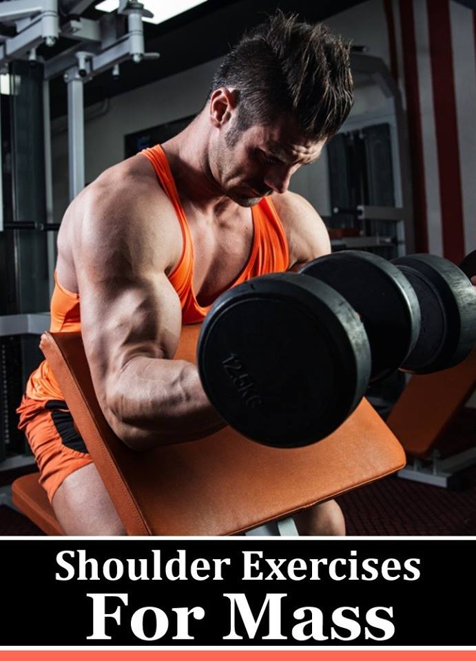 bodybuilderhub's tweet photo. 5 Best Shoulder Exercises For Mass
https://t.co/TCgWlINgt8
#shoulderexercises #exercises #exercisesformass https://t.co/XhPDVNo4lG