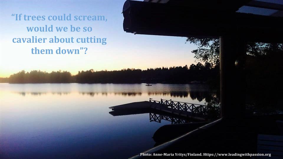 GCCThinkActTank's tweet image. "If trees could scream, would we be so cavalier about cutting them down"? bit.ly/NATURE888 #climatechange #climateaction 
#environment 
#energy