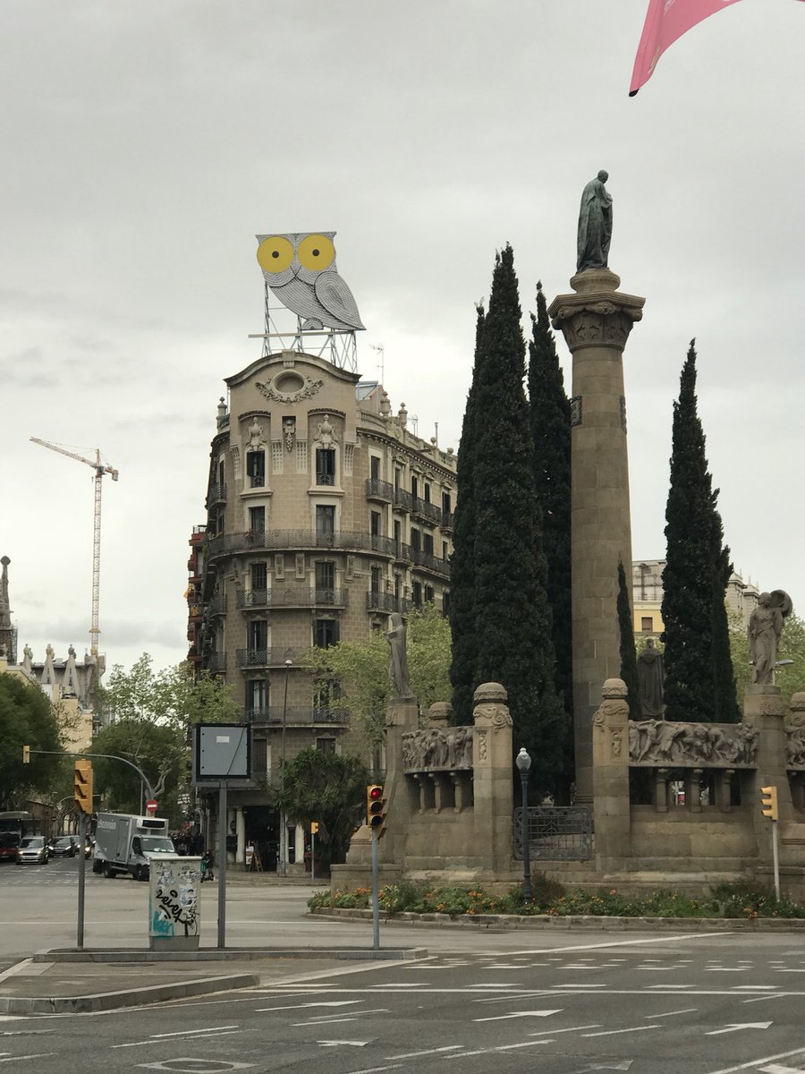 EnjoyHelo's tweet image. Coruja Espanhola #felipeneto by 🇪🇸 Barcelona