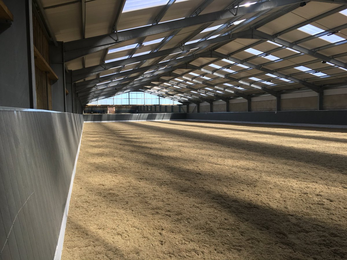 Equine Construction tweet media