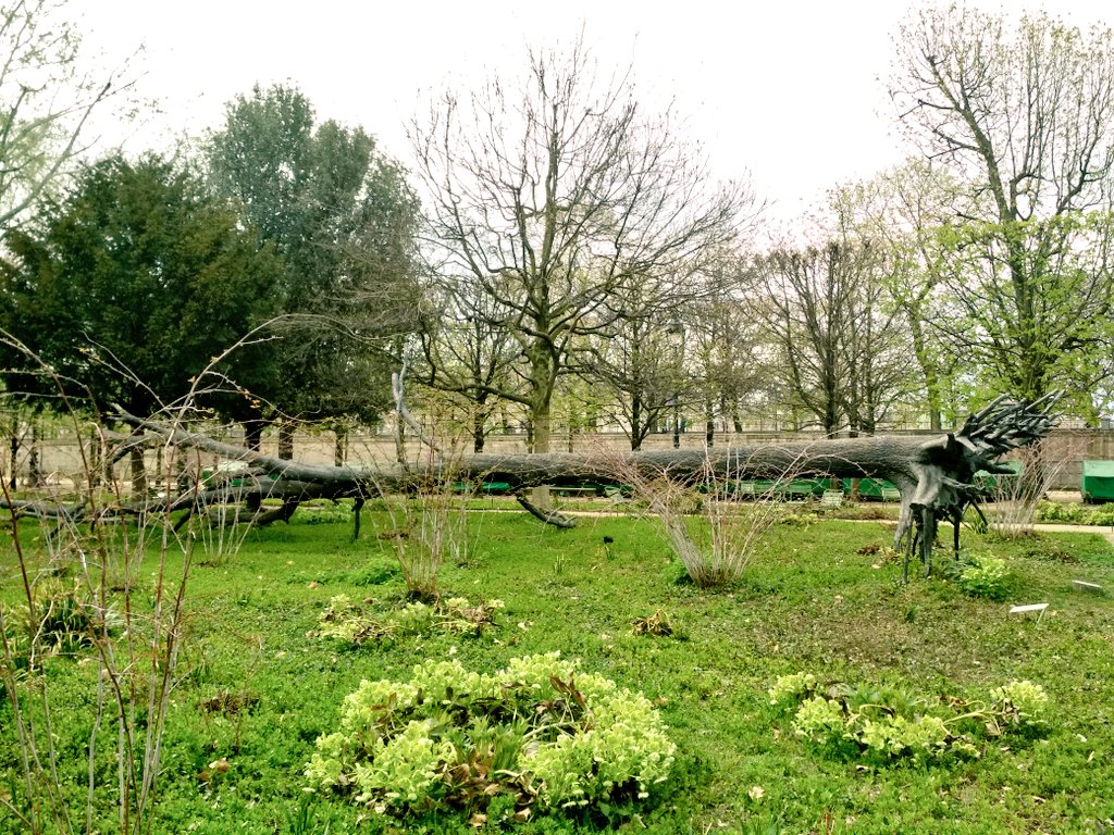 Artepolis_es's tweet photo. Giuseppe Penone realizó esta escultura usando como molde el árbol caído tras una gran tempestad. En los extremos de sus ramas se plantearon otros árboles que crecen. "L'arbre des voyelles", 1999
#Tulleries https://t.co/O9VoFl4SZO
