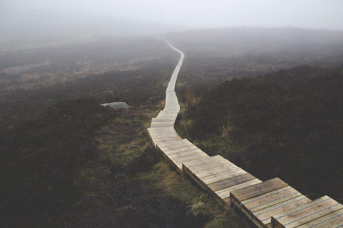 How Long Does It Take To Learn Guitar? | Zing Instruments zinginstruments.com/how-long-does-… #music #musician #makemusic