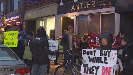 TheUGShow's tweet photo. New live show. https://t.co/LR0xNaF5l3 #oshawa #antler #Protests https://t.co/DxQLjX2MQE
