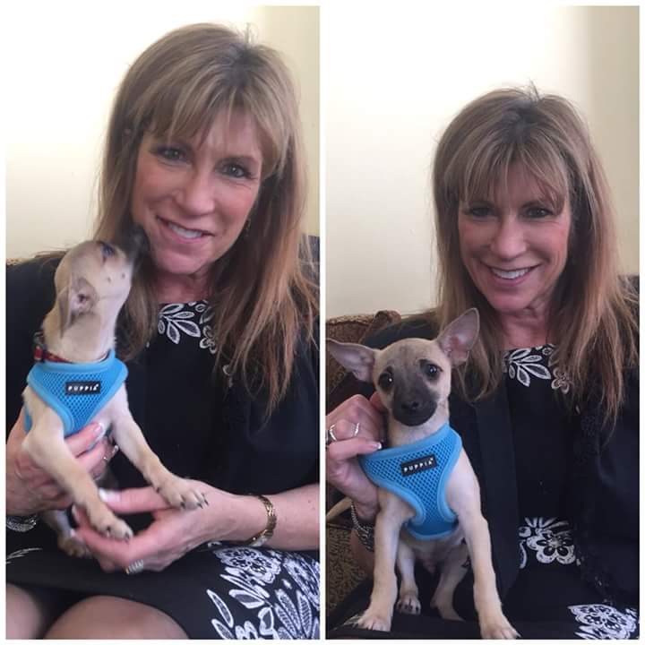 mrwtina's tweet photo. @klgandhoda @hodakotb @KathieLGifford I don't have any witty and intelligent thing to say other than I have watched you from day one. Saw the adjustments and friendship blossom. And I LOVE you guys. So does my new Boy George! #ToastTo10! https://t.co/jgnSgHmpTU