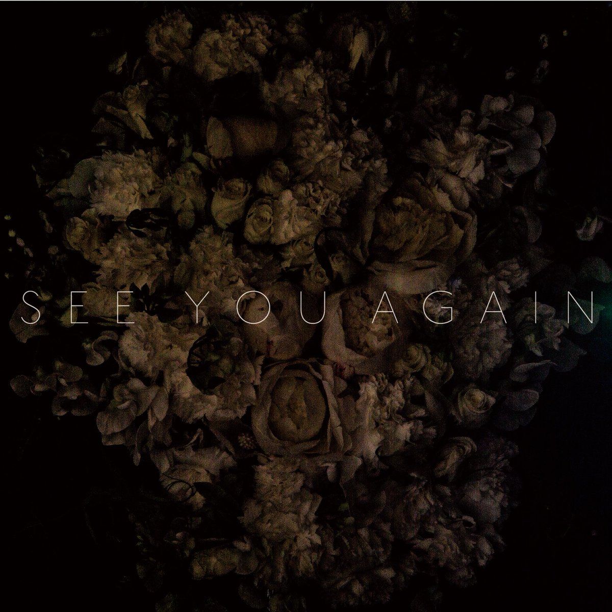 SEE YOU AGAIN 
youtu.be/eYvGgWJ0v6U