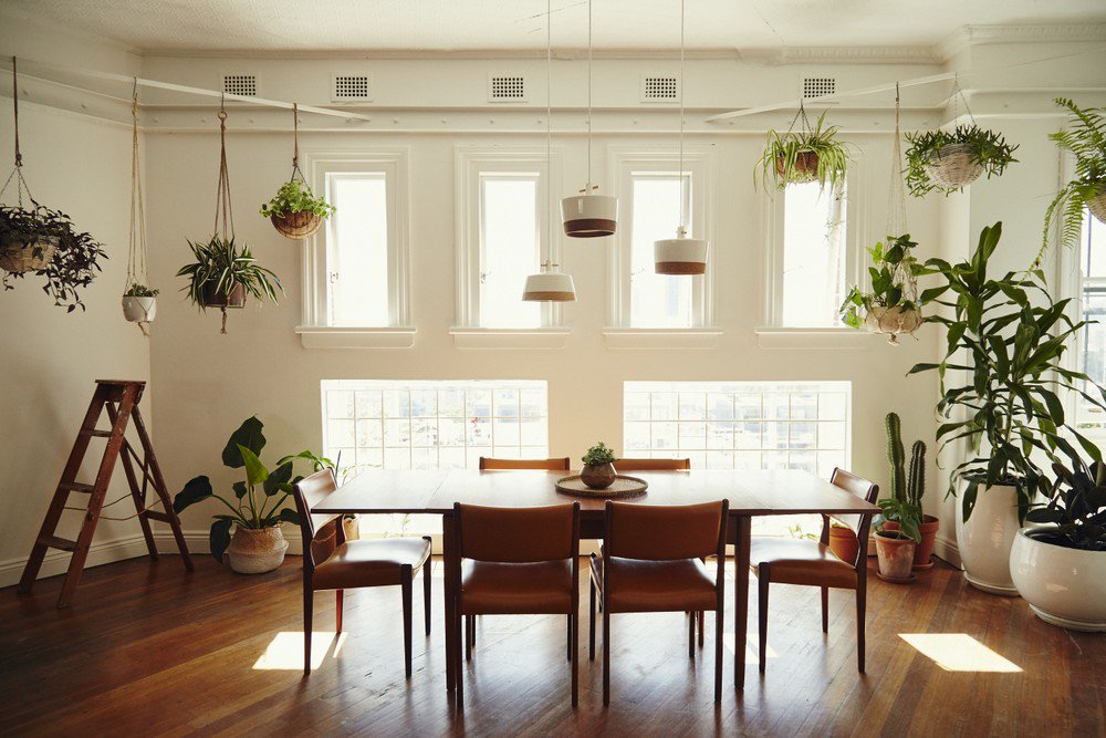 creativespaces's tweet photo. Greenery abounds at #SurryHills heritage co-working space  #Handkrafted. Ideal for graphic designers, writers or other desk based practices, they've got desks avaialble from $100/week 🌿  https://t.co/2c4lkX0IO1 https://t.co/45UkVvPjNg