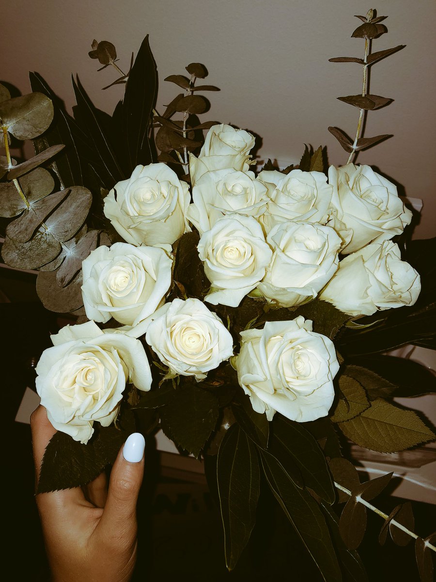 leahskittle's tweet photo. update: 😍 https://t.co/MivXRK6dov