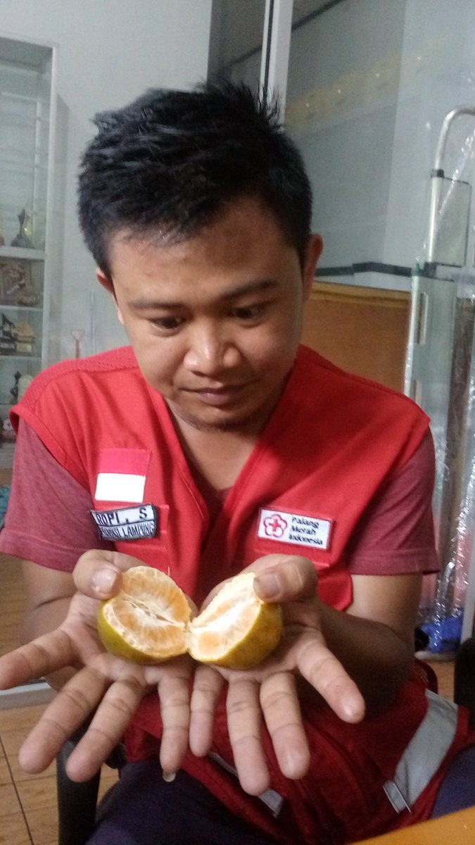 pmi_lampung's tweet photo. Si Orange yg Asem Seger sangat banyak lho manfaatnya, kandungan Vitamin C nya dapat membantu meningkatkan imunitas, satu jeruk utuh mengandung 62,9 Kalori #HealthForAll #HealthyInsideOutside #PMIsiapbantu @palangmerah @dinkes_lampung https://t.co/2LQcr1Q89T