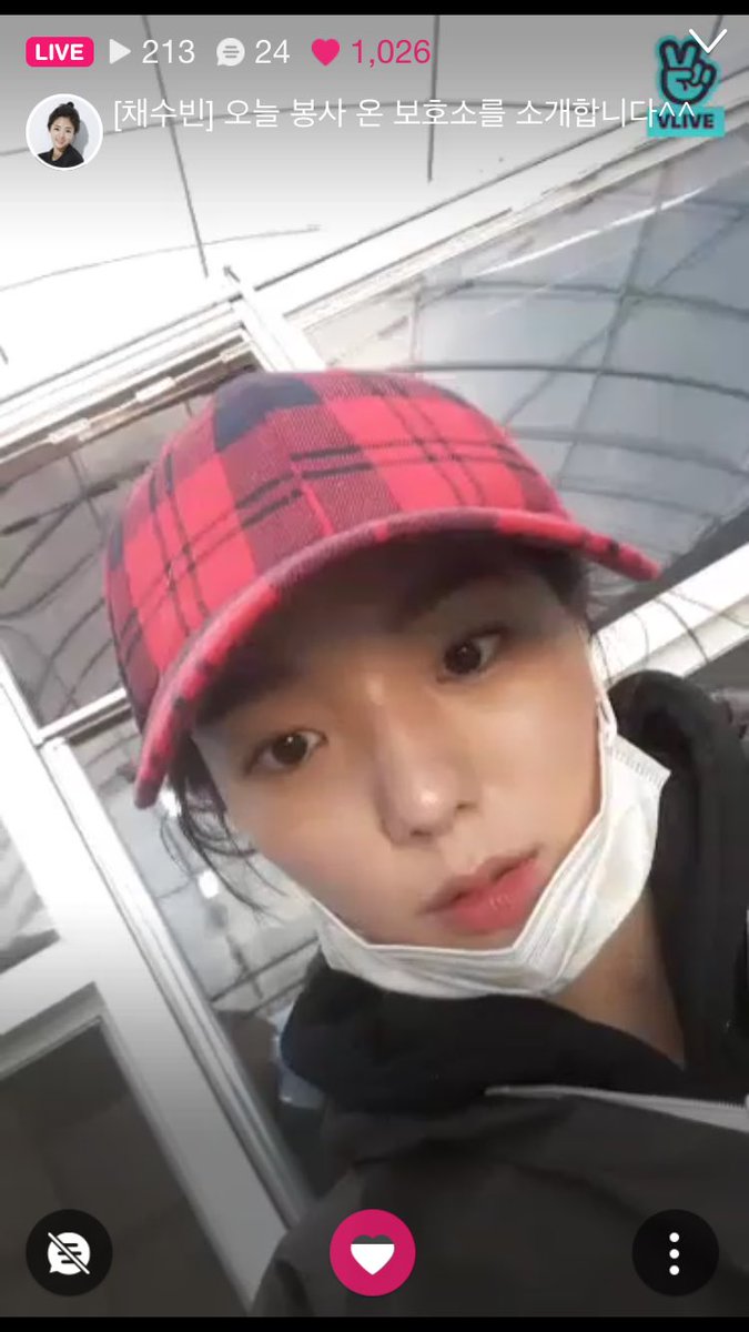 SOOBIN_THAILAND's tweet photo. [ ♡ ] ตอนนี้น้องซูบินกับไลฟ์สดอยู่ที่ VApp ค่ะ
ตามมาดูกันได้เล้ยยยยยยยย

💕💕💕 https://t.co/SoCNQkjMR7 https://t.co/kNdYq5esJC