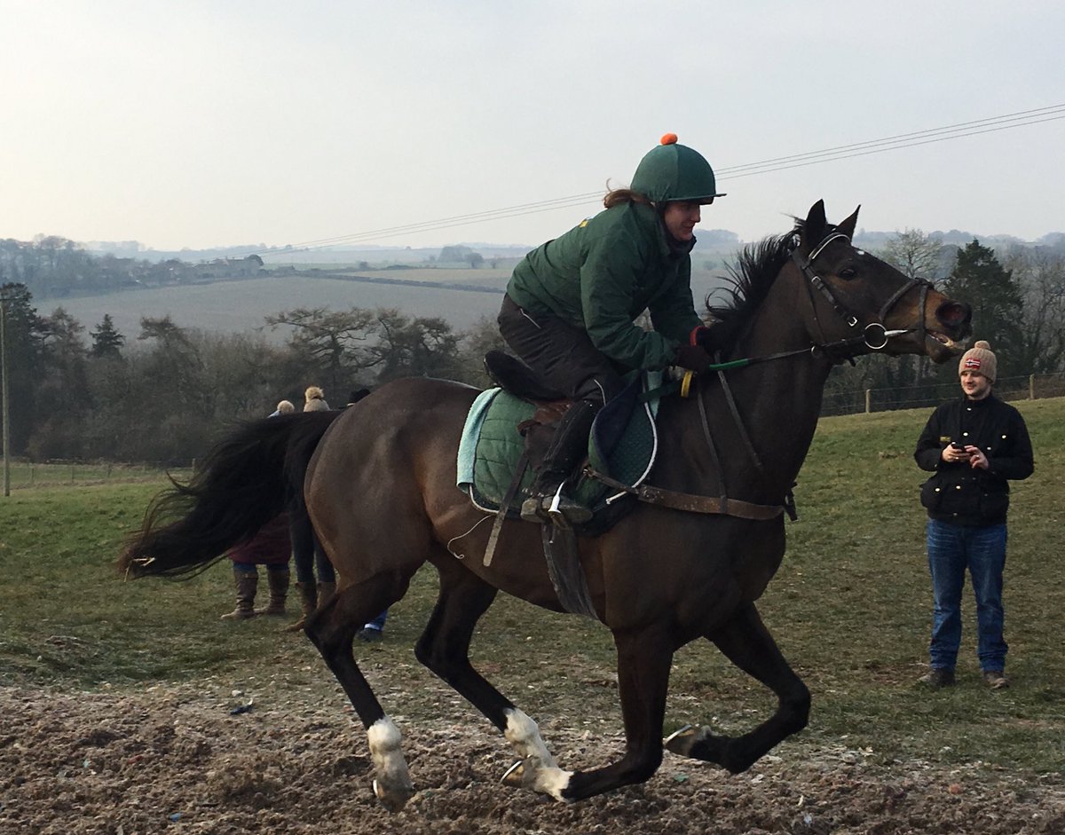 theynws's tweet photo. Good morning all. #AlltheGearNoIdea is on his way to @UttoxeterRaces today for the 4.15. Ground is heavy but hopefully not too sticky. Supreme Striker @jpbargary94 rides #comeonAlan https://t.co/tNe6hWy0It