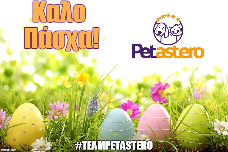 Petastero's tweet photo. Η Ομάδα του Petastero σας εύχεται καλό Πάσχα με υγεία και όμορφες στιγμές!#easter #pasxa2018 https://t.co/hCjJDCeikz
