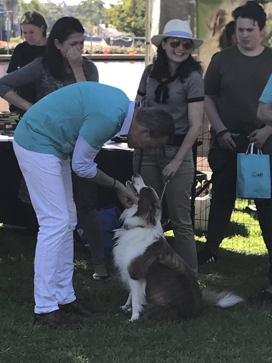 AdelaideMP's tweet photo. Fun afternoon at #Houndwave — Adelaide’s pooch-friendly music festival with @MrsHaese @MartinHaese in Light Square https://t.co/Kq0QYTOvOl