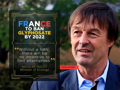GMWatch's tweet photo. Whatever you think of Natural News, what an incisive quote! https://t.co/Aep9WgDTfF