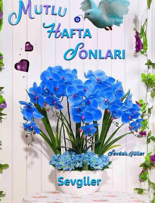 HikmetYakin's tweet photo. @Pirense41190864 @TEKHEDEF2023AK @arvasfehmi @VahitKaragoez @emn_rl @AsiiyeMutlu @sabrigunes001 @GulnazYurtbakan @d_cakaroglu @CigdemGulu34 @Acizkullum AMİN BU TEMENNİLERİN İÇİN ÇOK TEŞEKKÜR EDERİM HAYIRLI SABAHLAR  HERŞEY GÖNLÜNCE OLSUN PRENSES CAN DOSTLARADA SELAMLAR🌿🌷 https://t.co/8X9JNglESO