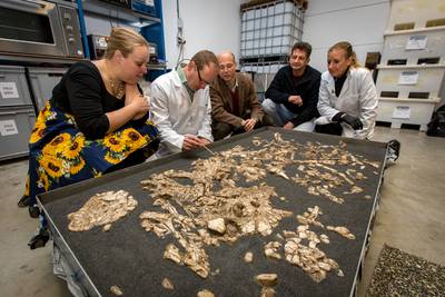 Oud zeldzaam familiegraf uit Tiel naar Rijksmuseum van Oudheden dlvr.it/QNk7Vh