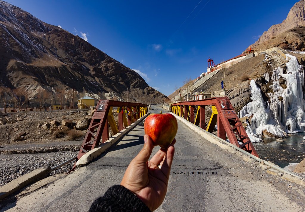 mittal_suruchi's tweet photo. Eat healthy, Live well and #travel more!! #allgudthings #travelbloggers

Happy #WorldHealthDay #WorldHealthDay2018 https://t.co/OwBYcKdsus