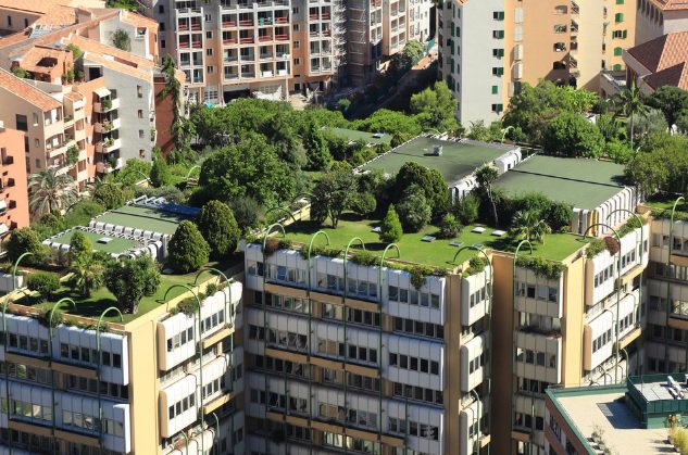 Toitsverts's tweet image. #Végétalisation : Des #plantes sur les toits pour voir la ville en vert  ow.ly/NwTi30jmUZ7