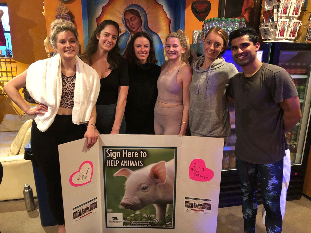 VictoriaRamm4's tweet photo. Friends against cages #preventcrueltycalifornia https://t.co/j94SAlFNPv