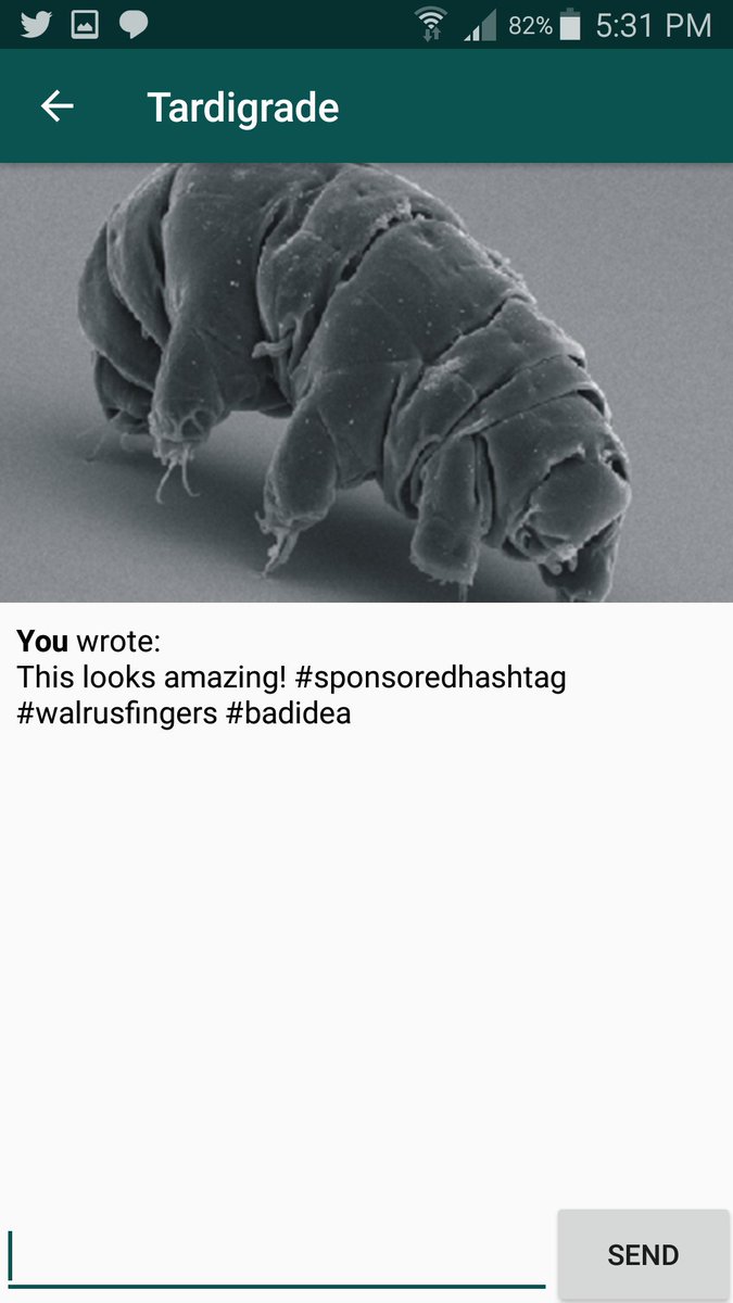 𝓔𝓽𝓮𝓻𝓷𝓶𝓪𝓵𝓵𝓮𝔂𝓼𝓬𝓪𝓽𝓲𝓽𝔂 tweet media
