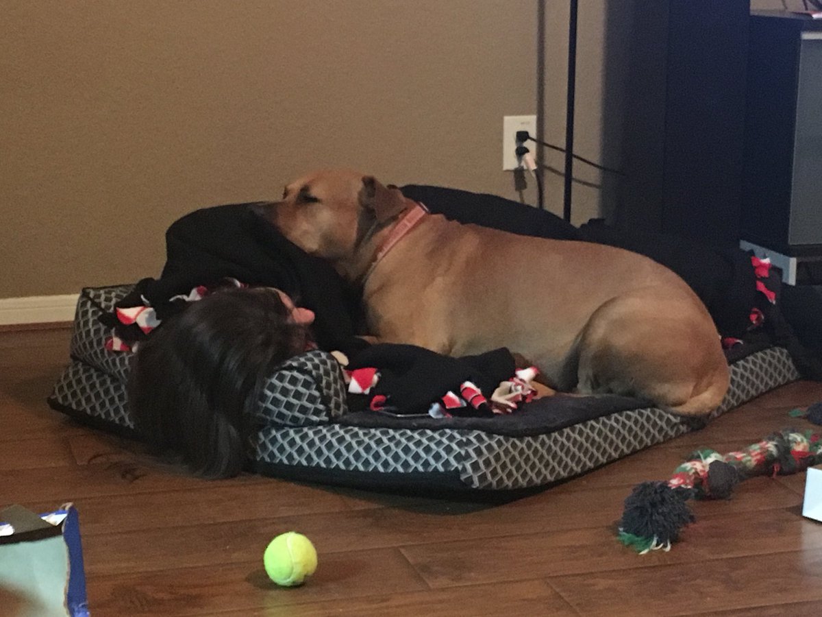 MelvinGordonIII's tweet photo. Girl boss and me taking a cat nap #whenthedogbedisbigenoughfortwo https://t.co/IMnpb9I6c9