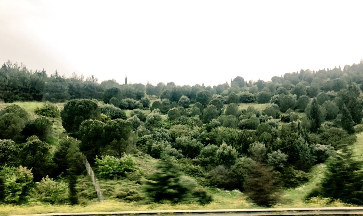 philabouzeid's tweet photo. Super nice #Landscape here in #Izmir #Turkey ! #Nature 
#MeaMoments https://t.co/WAuMOaJrNd