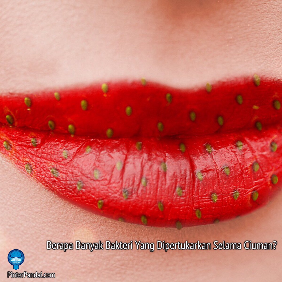 pinterpandai_id's tweet photo. Berapa Banyak Bakteri Yang Dipertukarkan Selama Ciuman?
Selanjutnya baca di: https://t.co/dlwUtgWi9Z
#cium #bercium #ciuman https://t.co/fcnHnFioxh