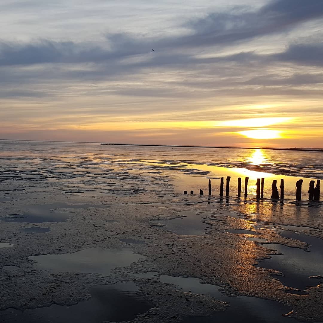 De verkenning naar Ameland is ook gelopen, en dat leverde weer mooie plaatjes op