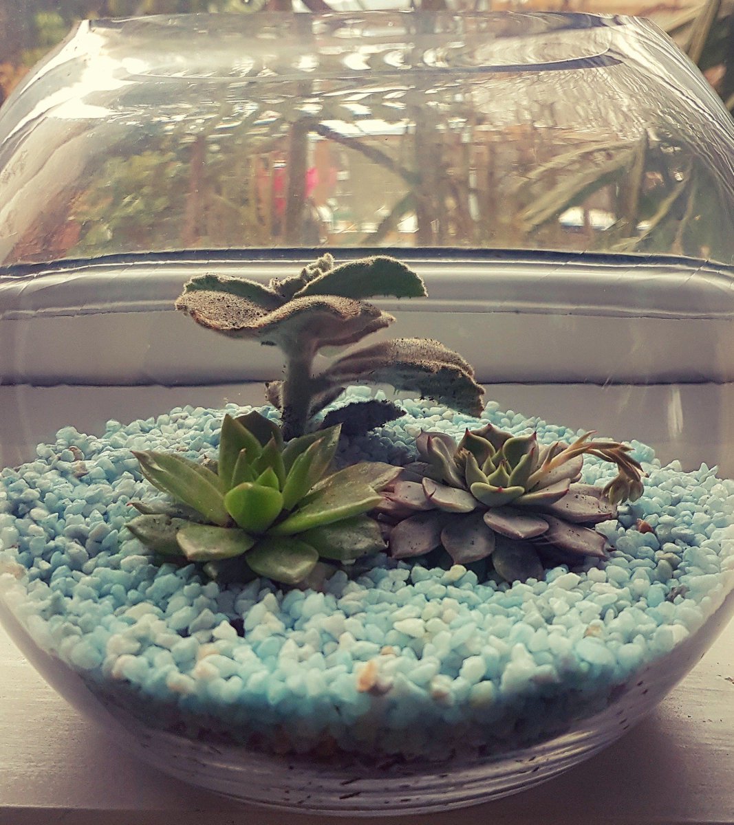 SmallByDesign tweet media