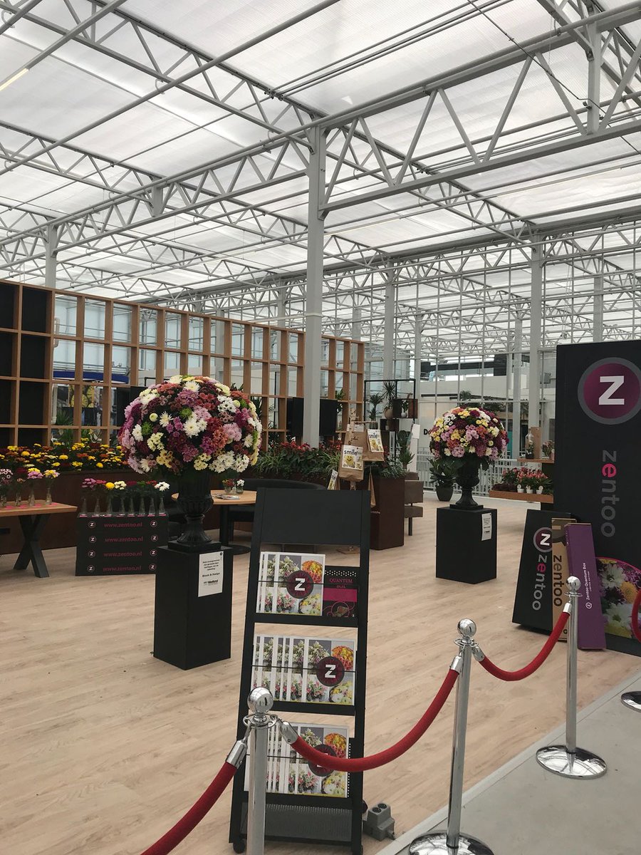 Vandaag <a href="/kom_in_de_kas/">Kom in de Kas | Hét grootste glastuinbouwevenement</a> houdt het <a href="/WorldHortiCentr/">World Horti Center</a> open dag. #Zentoo verwelkomt u graag van 10-16u. In de Zentoo stand kunt u uw favo #chrysant uitkiezen, krijgt u een kleurrijke bloem in het haar en kunt u alle kleuren, vormen &amp; mogelijkheden vd chrysant ontdekken. TOT STRAKS!
