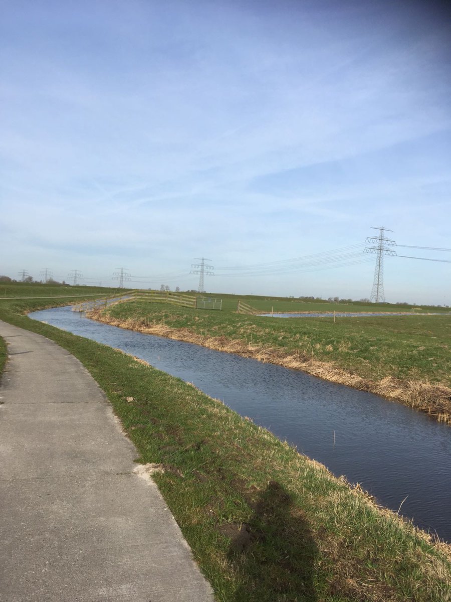 Raitdaiprunners's tweet photo. Het parcours ligt er mooi bij. Tot vanmiddag bij de #raitdaiprun in #sauwerd https://t.co/kSsDJXyJxc