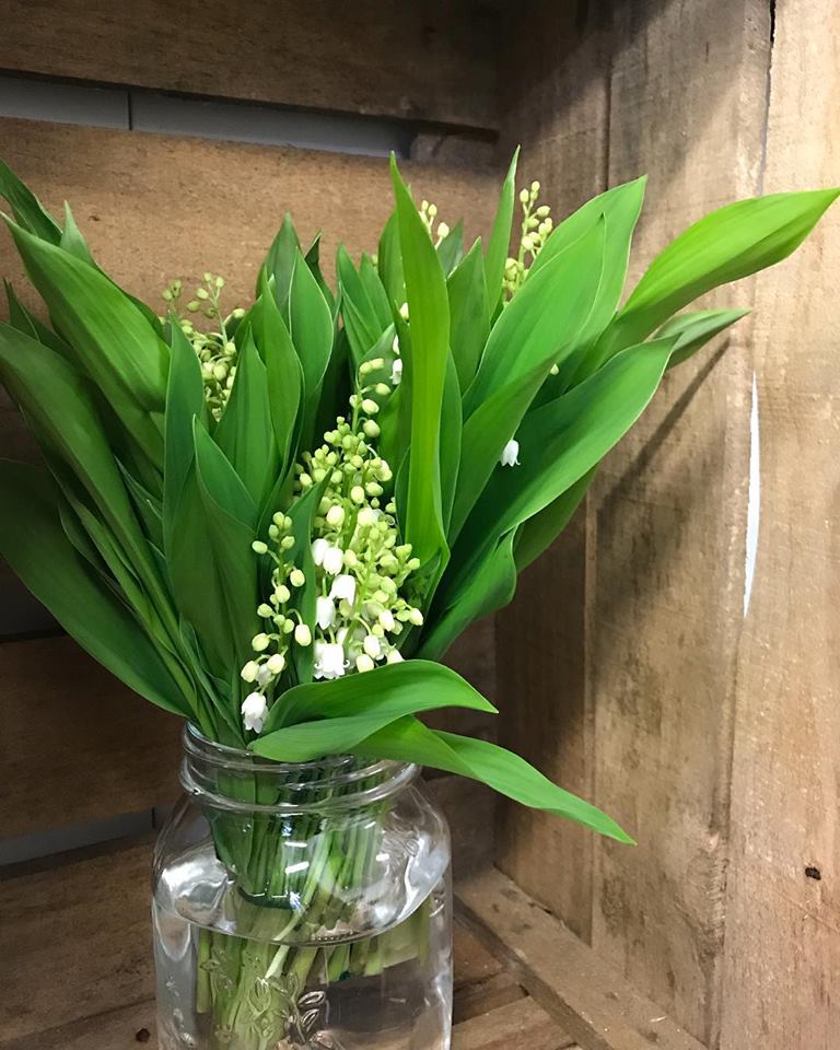 💐 È arrivato il (profumatissimo) #mughetto nel nostro reparto dei fiori recisi! 💐