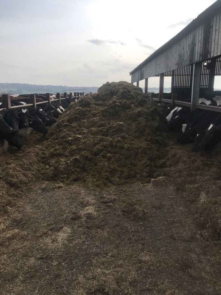 Evo_Farming's tweet photo. On a positive note #selffeed https://t.co/cPWO8HSy7p