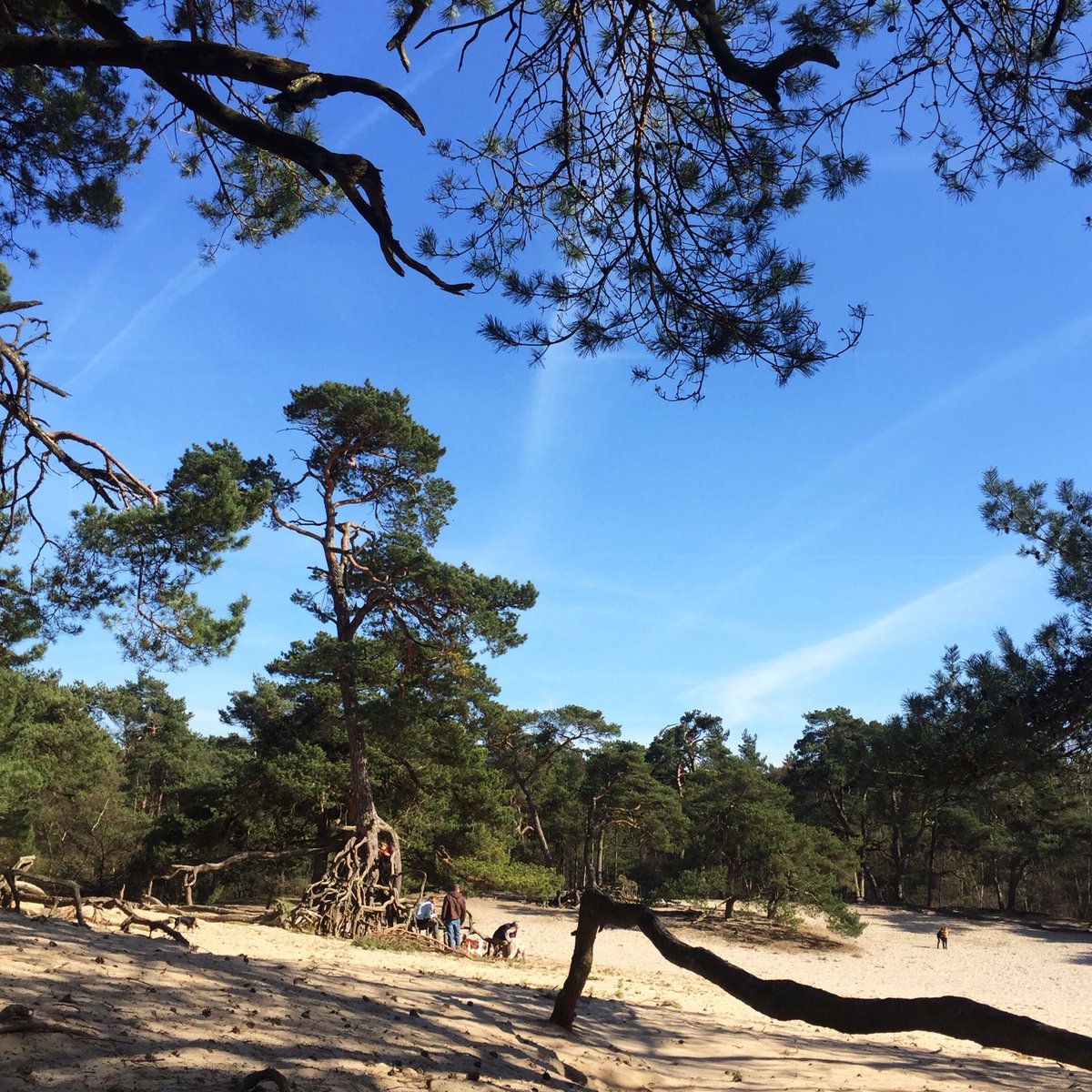 MyDailyGarbage's tweet photo. Deze week 75km gemaakt🏃🏻‍♀️🏃🏻‍♀️🏃🏻‍♀️En omdat hardlopen met een doel leuker is schreef ik me in voor #deloopvanleidscherijn. Nu nog een leuke hele marathon uitzoeken voor het najaar. https://t.co/TedvYazpn2