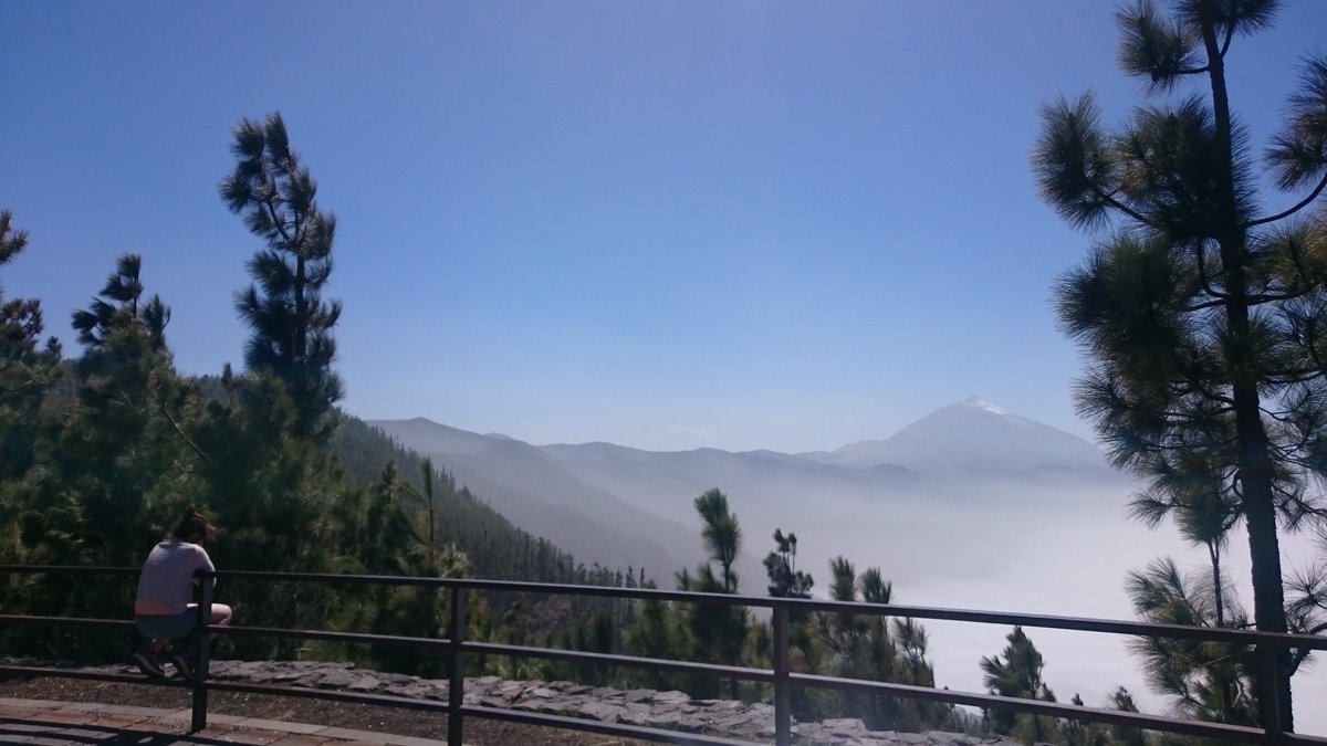 VegnAdventurist's tweet photo. @Intrepid_AdvMag @VertebratePub #IAMintrepid Hiking #Tenerife & Teide national park and finishing with kayaking and snorkelling with bull rays and green turtles :) Best trip to date https://t.co/OHzfDUoD79